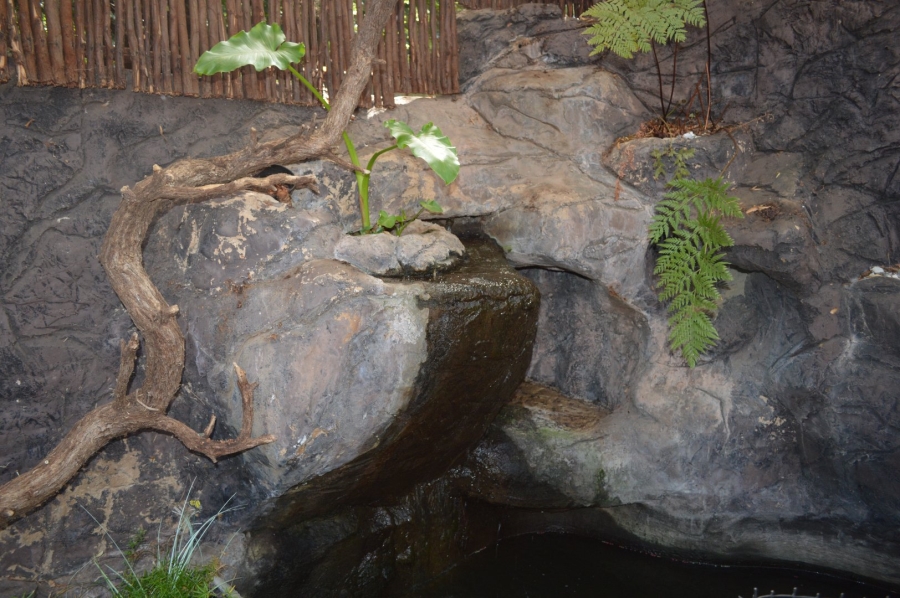 3 Bedroom Property for Sale in Wilkoppies North West